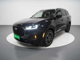 奇瑞 瑞虎8 PLUS 2022款 鲲鹏版 390TGDI DCT豪情版+