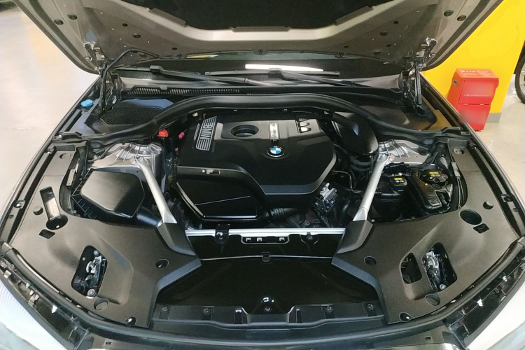 宝马5系 2019款 改款 525Li 豪华套装局部细节24