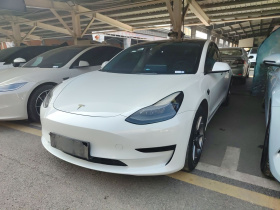 特斯拉 Model 3 2021款 标准续航后驱升级版 3D6