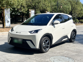 比亚迪 海鸥 2023款 飞翔版