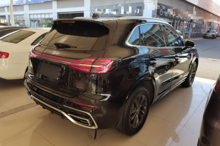 红旗HS5 2023款 2.0T 旗享Pro版车身外观7