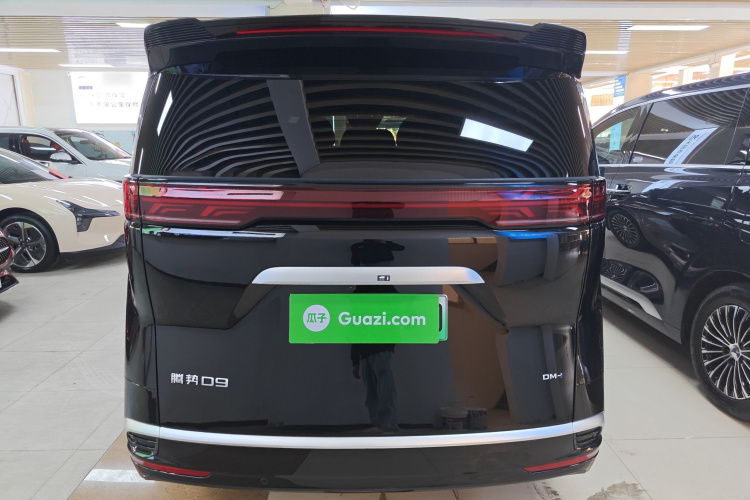 腾势D9 2024款 DM-i 1050 尊享型车身外观6