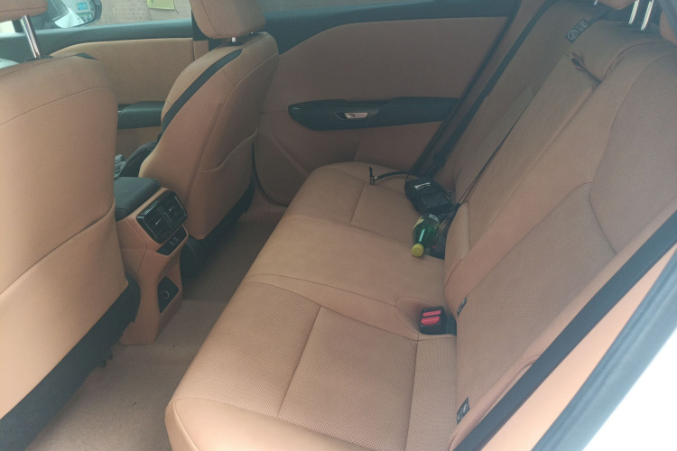 雷克萨斯RZ 2023款 450e 四驱纵享版中控内饰21