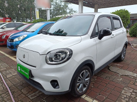 零跑汽车 零跑T03 2024款 310舒享版