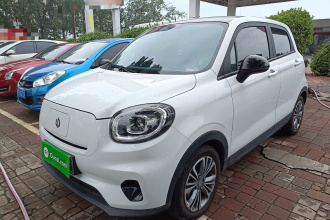 零跑汽车 零跑T03 2024款 310舒享版