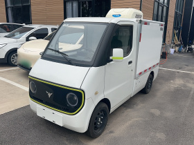 大力牛魔王D01 2023款 冷藏 优选型