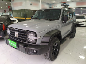 坦克300 2023款 越野版 2.0T 征服者