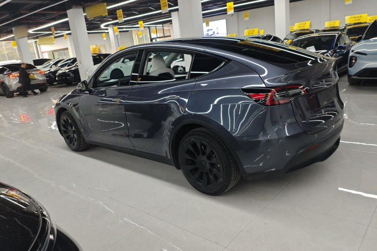 特斯拉 Model Y 2021款 长续航全轮驱动版 3D7车身外观6003