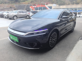 比亚迪 汉 2021款 EV 标准续航版豪华型