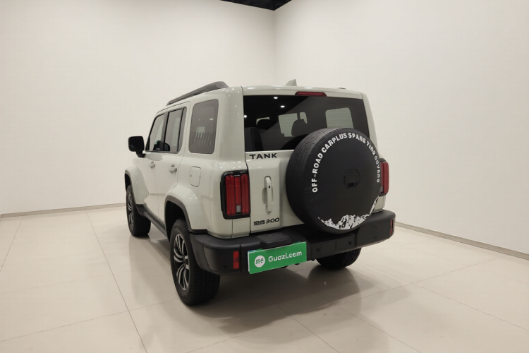 坦克300 2021款 城市版 2.0T 很有型车身外观5