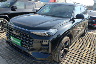 奥迪Q6 2024款 45 TFSI quattro 黑武士版 6座