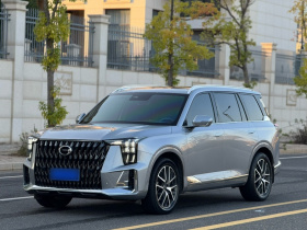 广汽传祺 传祺GS8 2022款 双擎系列 2.0TM 两驱尊贵版 （七座）