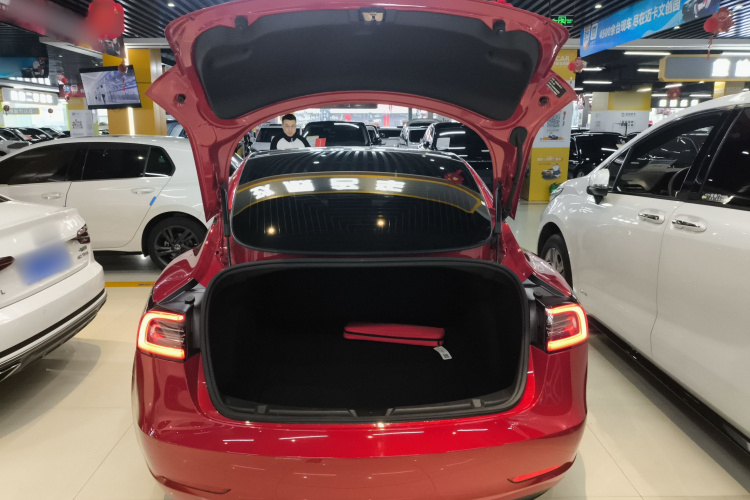 特斯拉 Model 3 2020款 标准续航后驱升级版机舱底盘23