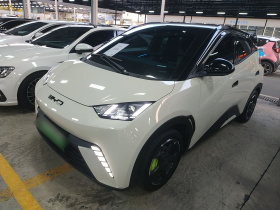 比亚迪 海鸥 2023款 自由版