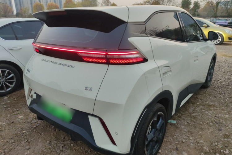 比亚迪 海鸥 2024款 荣耀版 305km 活力版车身外观6005