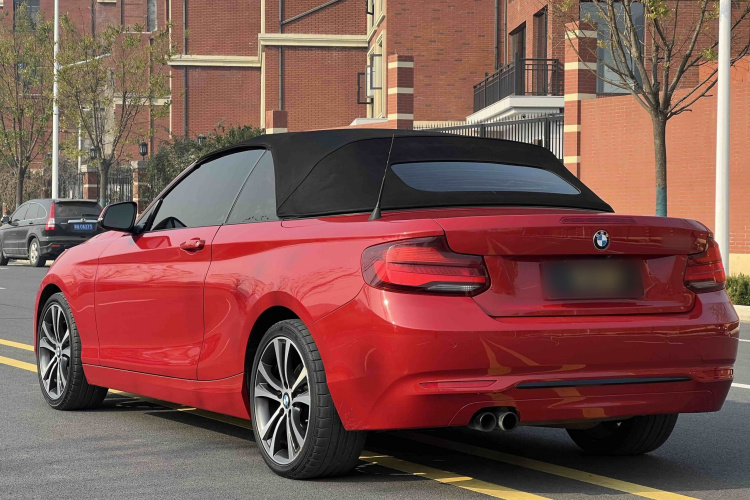 宝马2系(进口) 2019款 225i 敞篷轿跑车 运动设计套装车身外观6008