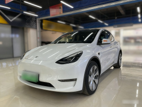 特斯拉 Model Y 2021款 标准续航后驱版