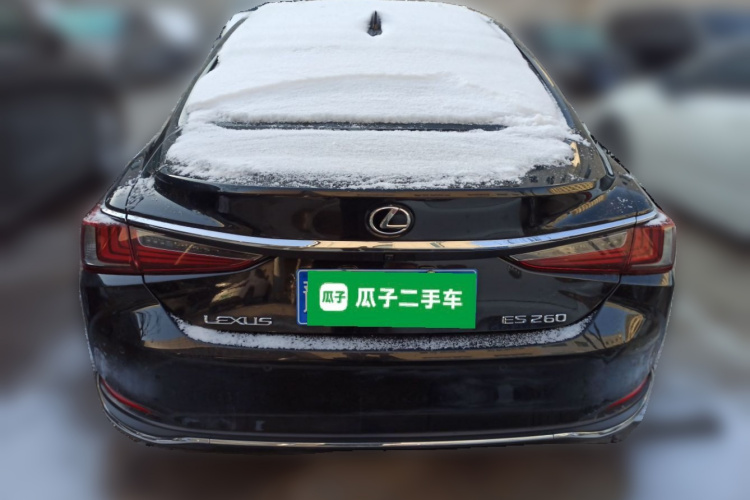 雷克萨斯ES 2020款 200 卓越版车身外观6004