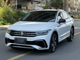 大众 途观X 2022款 330TSI 两驱旗舰版