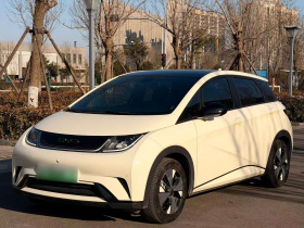 比亚迪 海豚 2023款 420km 时尚版