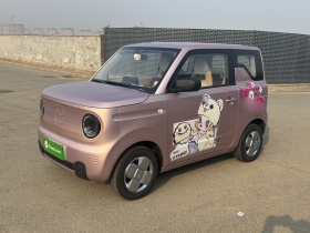 吉利银河 2024款 熊猫mini 200km 耐力熊