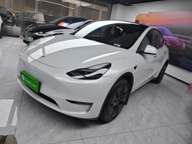 特斯拉 Model Y 2023款 长续航全轮驱动版