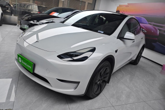 特斯拉 Model Y 2023款 长续航全轮驱动版