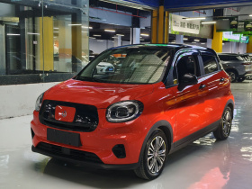 零跑汽车 零跑T03 2021款 400轻享版 磷酸铁锂