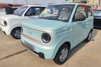 吉利银河 2024款 熊猫mini 200km 耐力熊