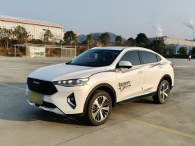 哈弗F7x 2019款 2.0T 两驱极智科技版