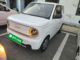 吉利银河 2024款 200km 熊猫骑士