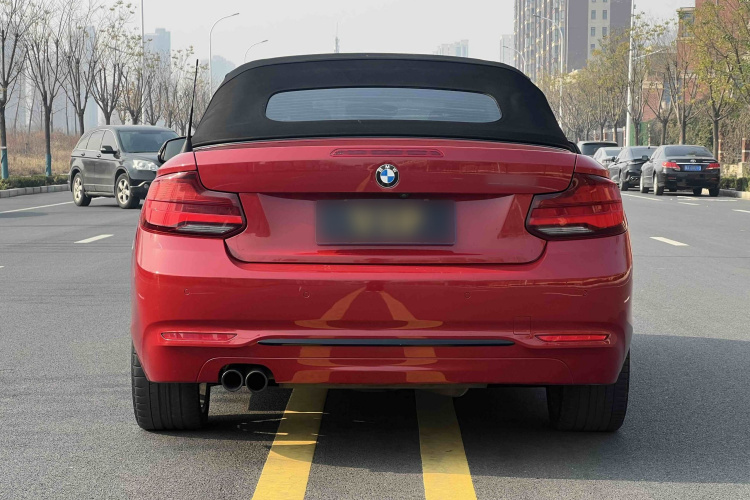 宝马2系(进口) 2019款 225i 敞篷轿跑车 运动设计套装车身外观6007