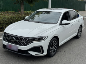 大众 朗逸 2024款 1.5L 自动星空五百万版