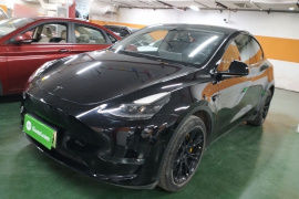 特斯拉 Model Y 2021款 长续航全轮驱动版 3D7