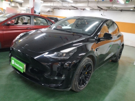 特斯拉 Model Y 2021款 长续航全轮驱动版 3D7