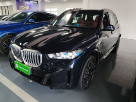 宝马X5 2023款 xDrive 40Li M运动曜夜套装