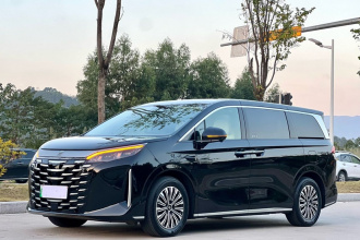 比亚迪 夏 2025款 DM-i 1.5T 100km 领先型