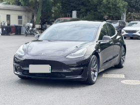 特斯拉 Model 3(进口) 2019款 长续航全轮驱动版