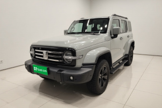 坦克300 2021款 城市版 2.0T 很有型