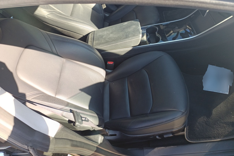 特斯拉 Model 3(进口) 2019款 长续航后驱版局部细节41