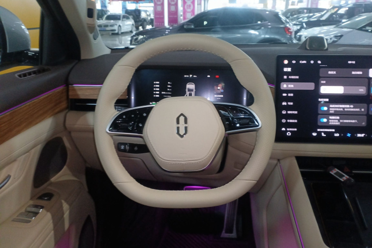 鸿蒙智行 问界M7 2024款 1.5T 智驾四驱Max版 5座局部细节13