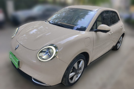 欧拉好猫 2022款 400km标准续航 豪华型 磷酸铁锂