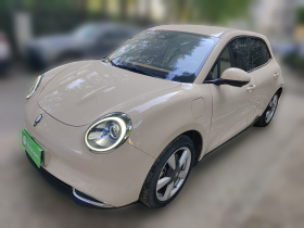 欧拉好猫 2022款 400km标准续航 豪华型 磷酸铁锂