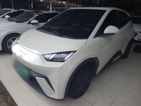 比亚迪 海鸥 2023款 活力版