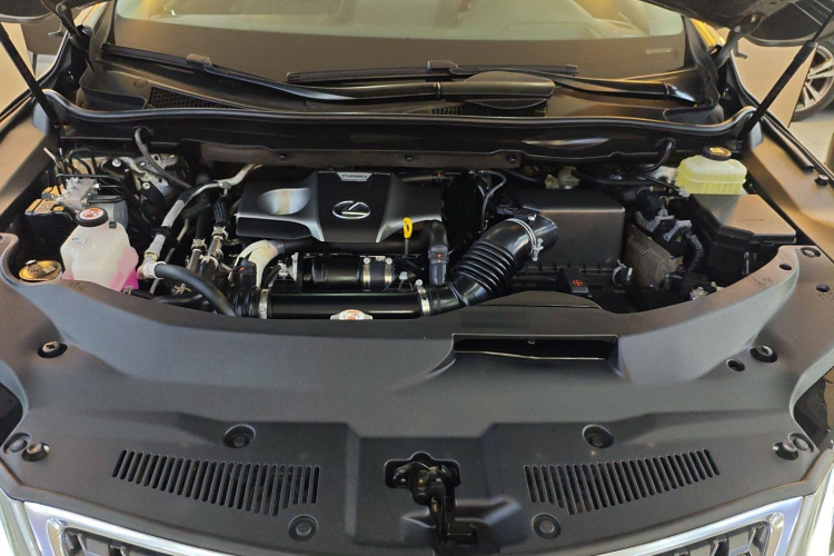 雷克萨斯RX 2020款 改款 300 四驱典雅版局部细节24