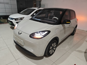 五菱汽车 五菱缤果 2023款 333km 灵犀互联+款