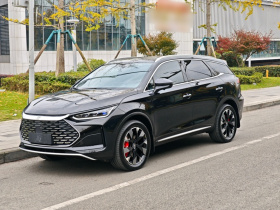 比亚迪 唐新能源 2024款 DM-p 荣耀版 215KM 四驱尊享型