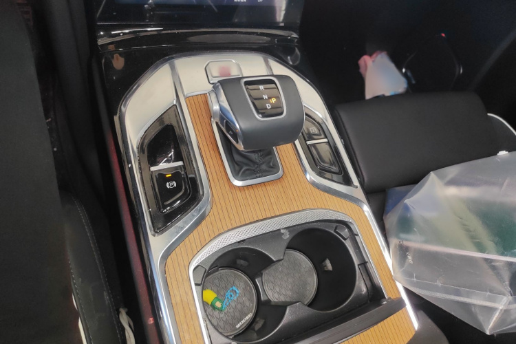 红旗E-HS9 2021款 460km 旗享版 六座局部细节18