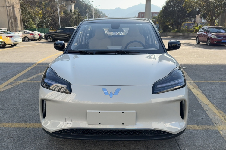 五菱汽车 五菱缤果PLUS 2024款 330km 五座版车身外观6001