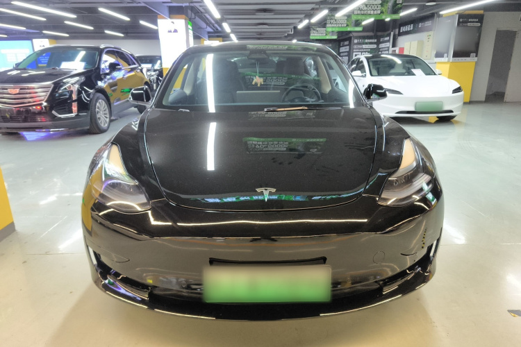 特斯拉 Model 3 2021款 标准续航后驱升级版车身外观6001